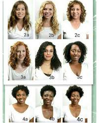 Natural Hair Types Chart 4c